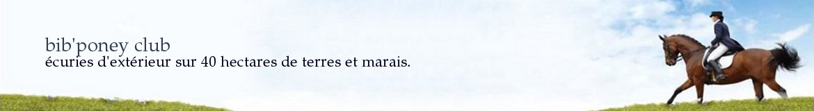 bib'poney club